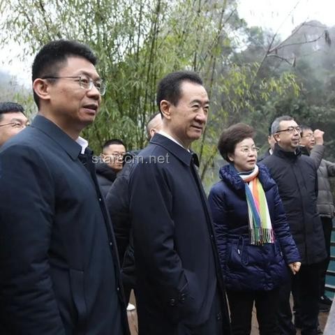 王健林股权冻结案深度剖析：4.9亿股权背后的万达困境与应对策略